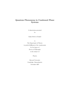 Quantum Phenomena in Condensed Phase