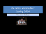 Genetics Vocabulary Spring 2011