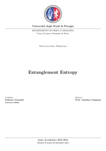 Entanglement Entropy