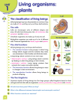 Living organisms: plants