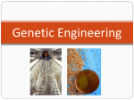 Genetic Engineering