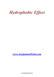 Hydrophobic Effect www.AssignmentPoint.com The hydrophobic