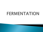 Fermentation 4 - MITCON Biopharma