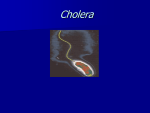 06_-_Cholera