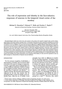 The role responses of expression and identity in the face
