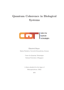 Quantum Coherence in Biological Systems