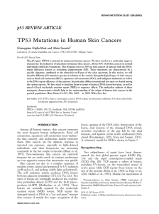 TP53 Mutations In Human Skin Cancers