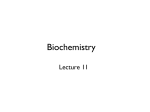 Biochemistry - Bonham Chemistry