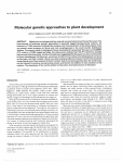 Molecular genetic approaches to plant development
