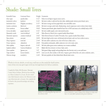 Shade: Small Trees - University of Minnesota Extension
