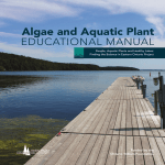 Algae and Aquatic Plant