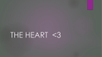 the heart <3