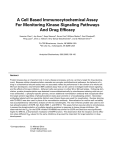 A Cell Based Immunocytochemical Assay for Monitoring Kinase