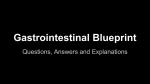 Gastrointestinal Blueprint