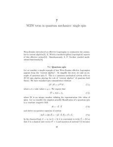 7 WZW term in quantum mechanics: single spin