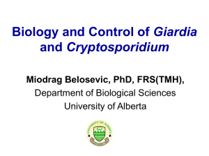 Biology and Control of Giardia and Cryptosporidium