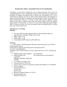 Protcol for Adeno- Associated Virus (AAV) production