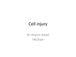 cell injury lecture 2