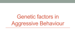 Genetic factors in aggressive behaviour