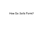 How Do Soils Form? - Hicksville Public Schools