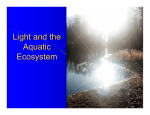 Light and the Aquatic Ecosystem