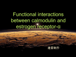 Interaction between calmodulin and ER