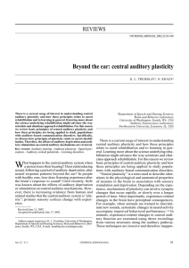 Beyond the ear: central auditory plasticity - Brainvolts