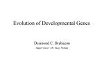 Des - Evolution of Developmental Genes