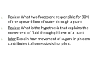 Ch 23 Plant Structure and Function