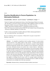Function Identification in Neuron Populations via Information