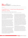 Using PEPscreen to Study Protein Phosphorylation - Sigma