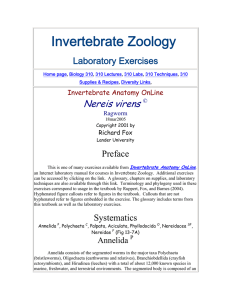 Invertebrate Zoology Laboratory Exercises
