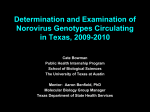 Kate Bowman - web.biosci.utexas.edu