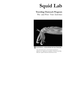 Squid Lab Outreach Teacher Booklet Sept 2004.qxd