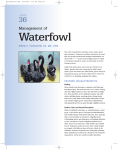Management of Waterfowl