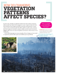 vegetation patterns affect species?