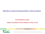 Detection of spore-forming bacteria in dairy products