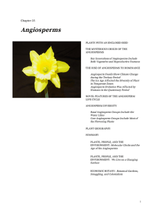 Angiosperms - Plant Biology