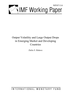 Output Volatility and Large Output Drops in Emerging