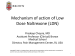 Mechanism of action of Low Dose Naltrexone