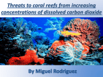 threats to coral reefs from increasing concentrations of dissolved