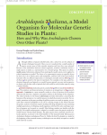 Arabidopsis Thaliana, a Model Organism for Molecular