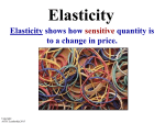 Elasticity.student notes