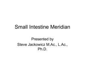 Small Intestine Meridian