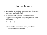pH of the electrophoresis buffer