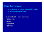 Plant hormones: