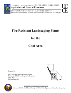 Fire Resistant Landscaping Plants for the Cool Area