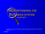 UNDERSTANDING THE BUSINESS SYSTEM CHAPTER 1