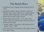 History of Rock The Beach Boys
