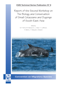 Report of the Second Workshop on The Biology and Conservation of